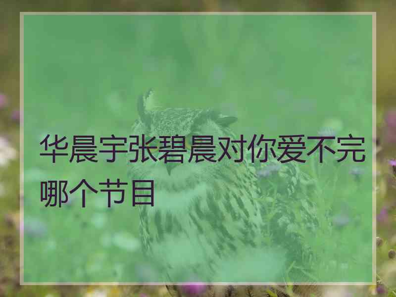 华晨宇张碧晨对你爱不完哪个节目