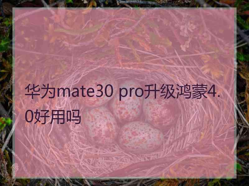 华为mate30 pro升级鸿蒙4.0好用吗