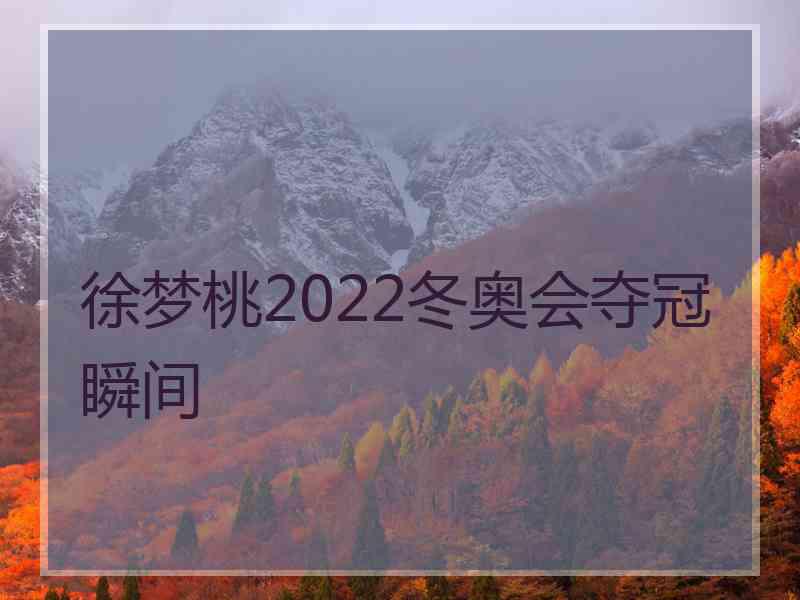 徐梦桃2022冬奥会夺冠瞬间