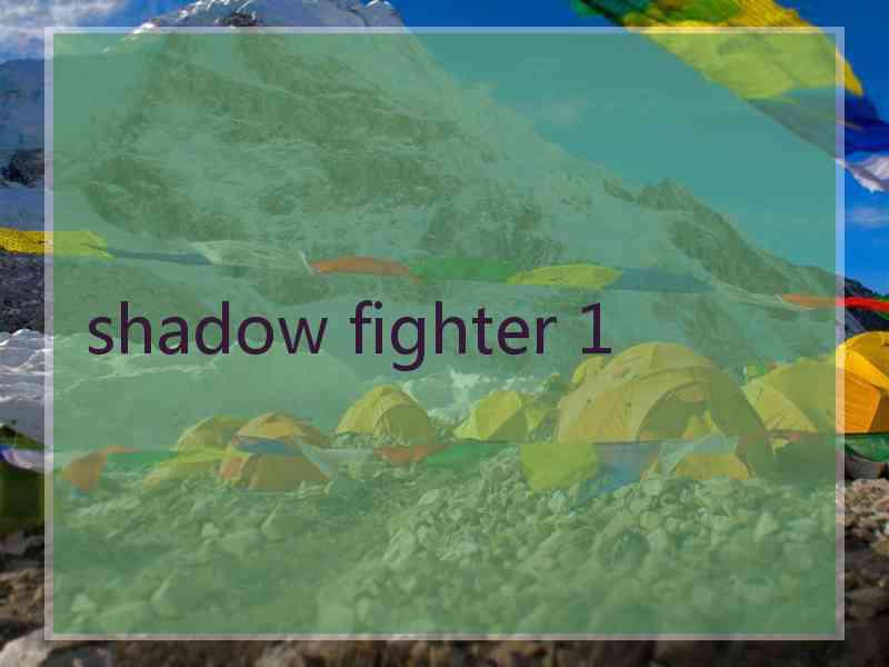 shadow fighter 1