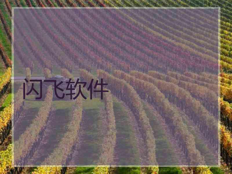 闪飞软件