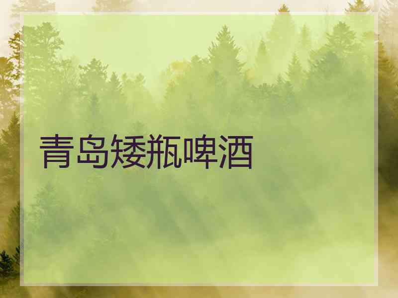 青岛矮瓶啤酒