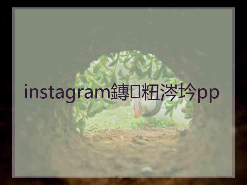instagram鏄粈涔坅pp