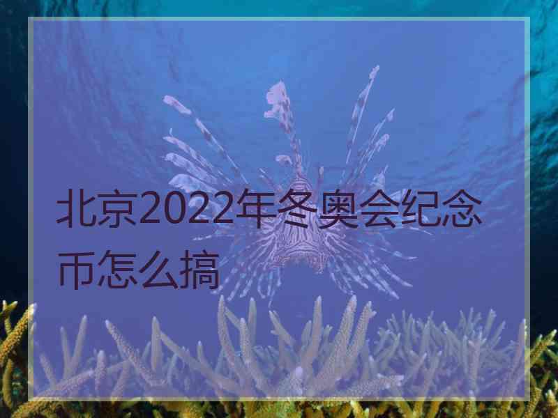 北京2022年冬奥会纪念币怎么搞
