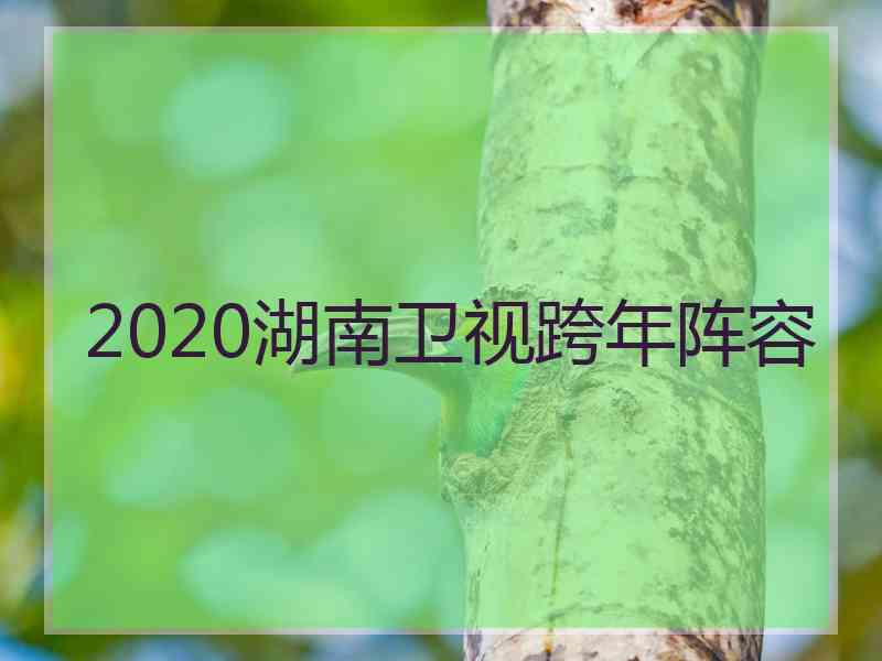 2020湖南卫视跨年阵容
