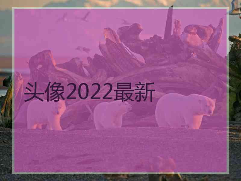 头像2022最新