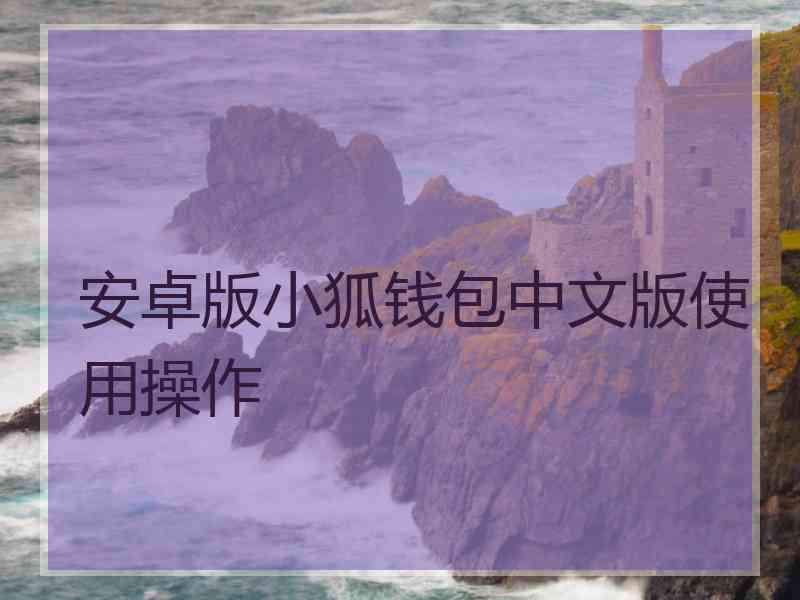 安卓版小狐钱包中文版使用操作
