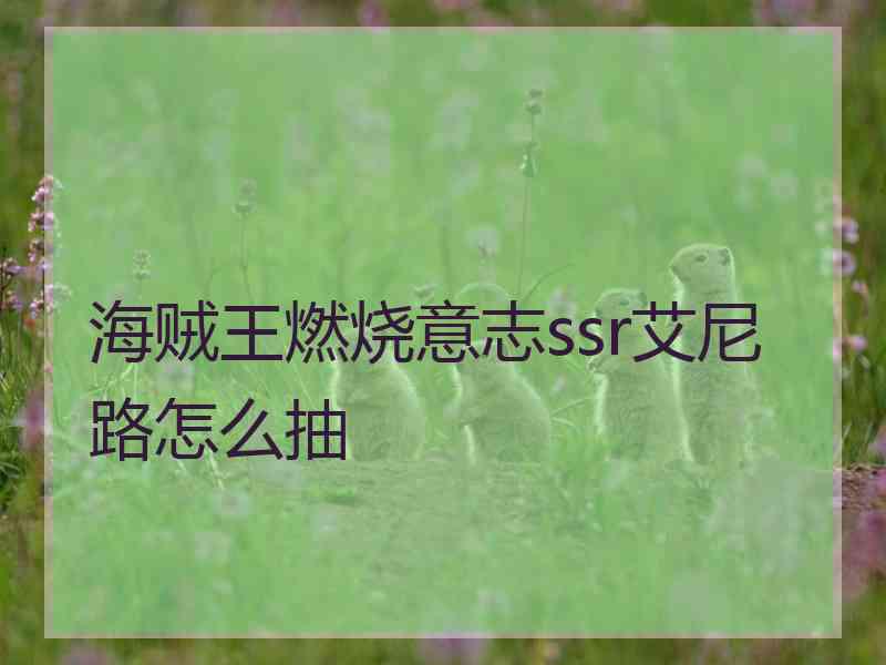 海贼王燃烧意志ssr艾尼路怎么抽
