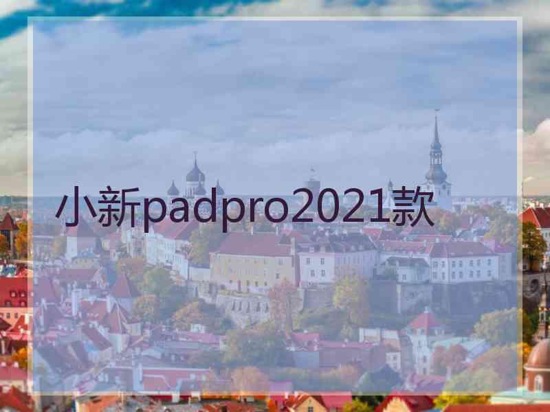 小新padpro2021款