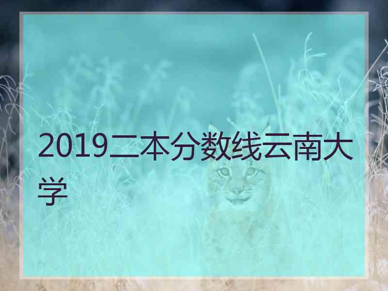 2019二本分数线云南大学