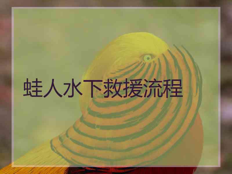 蛙人水下救援流程