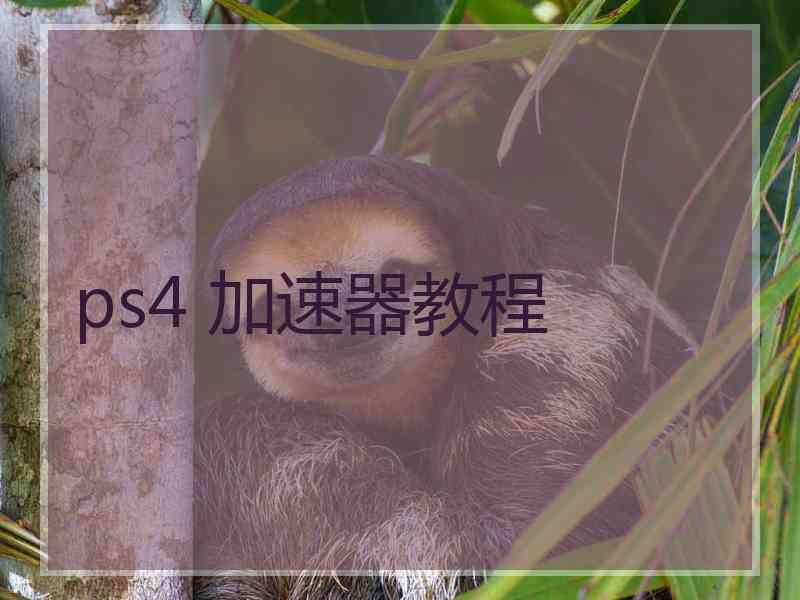 ps4 加速器教程
