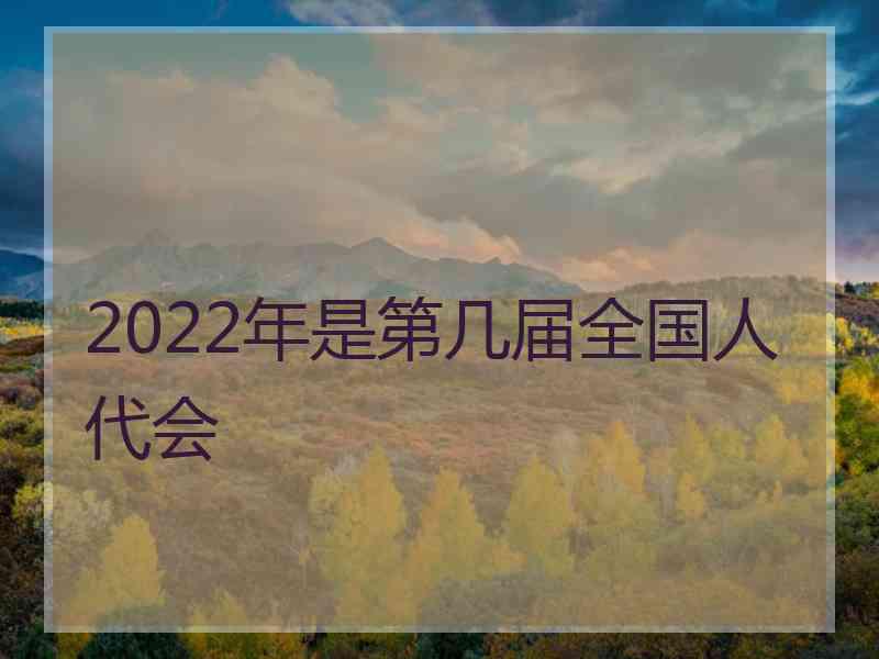 2022年是第几届全国人代会