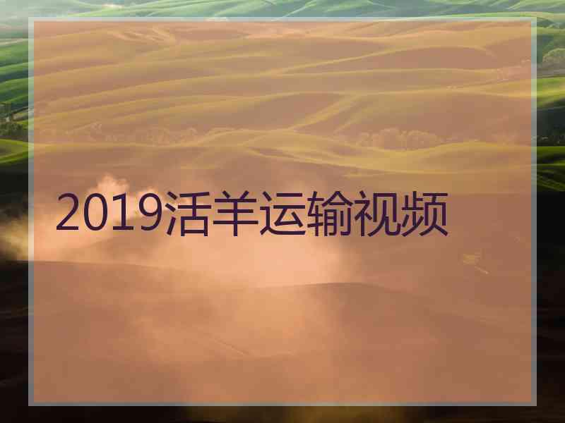 2019活羊运输视频