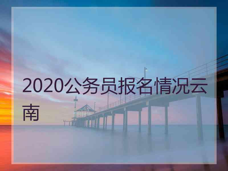 2020公务员报名情况云南