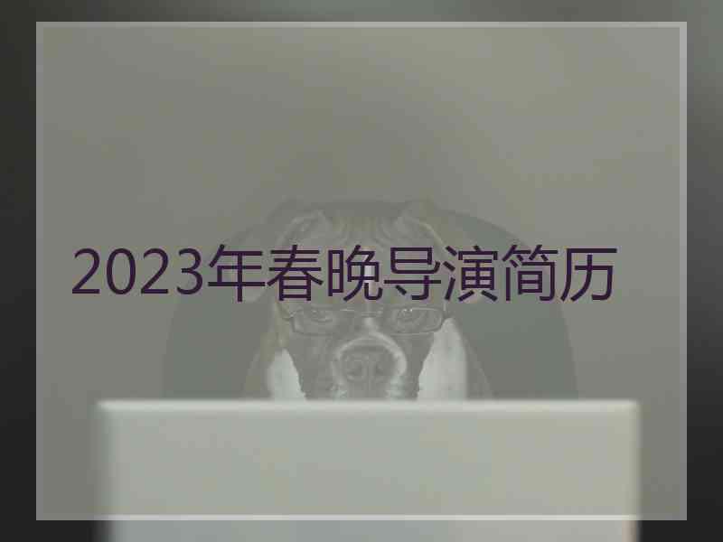 2023年春晚导演简历