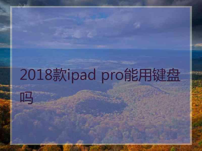2018款ipad pro能用键盘吗