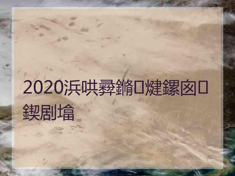 2020浜哄彛鏅煡鏍囪鍥剧墖