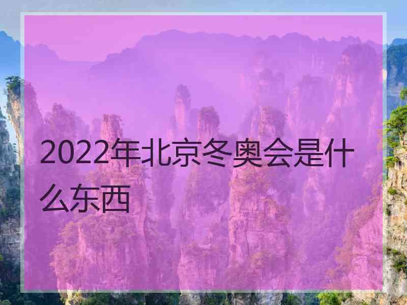 2022年北京冬奥会是什么东西