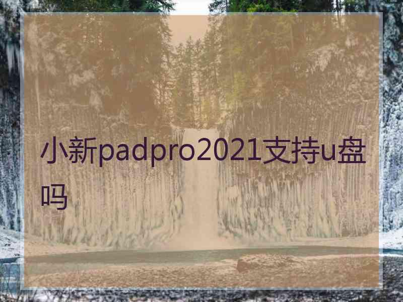 小新padpro2021支持u盘吗