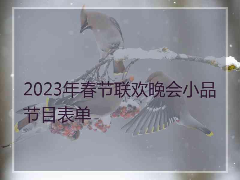 2023年春节联欢晚会小品节目表单
