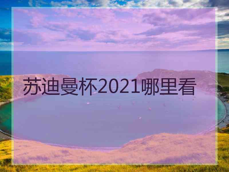 苏迪曼杯2021哪里看