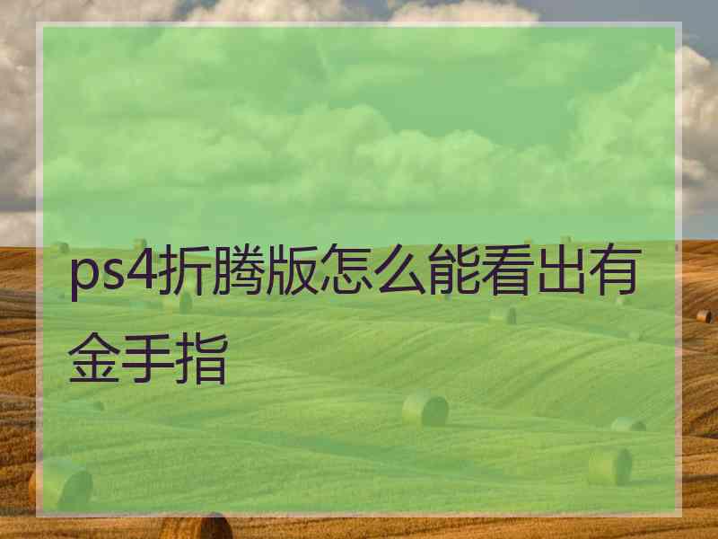 ps4折腾版怎么能看出有金手指