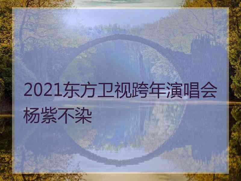 2021东方卫视跨年演唱会杨紫不染