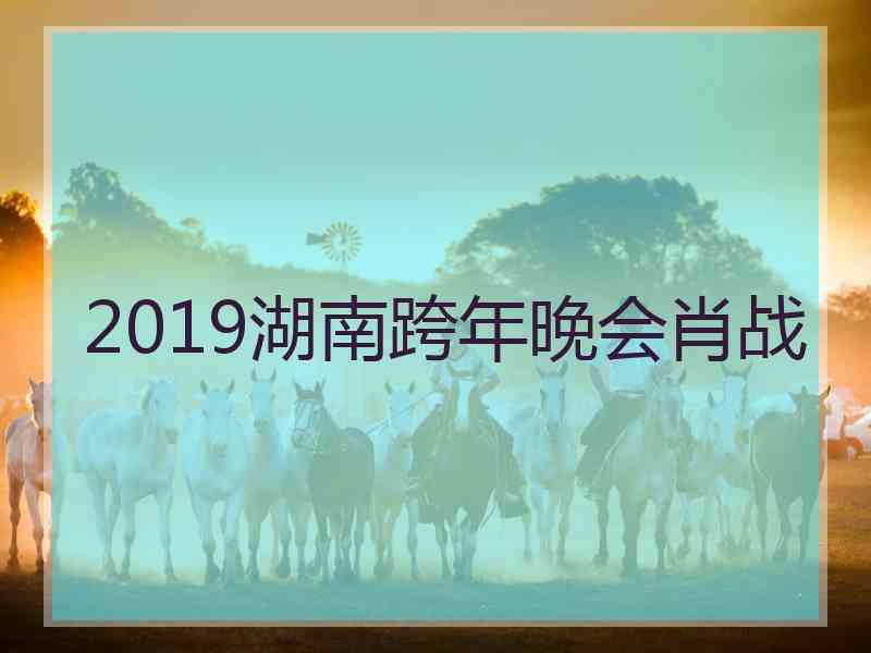 2019湖南跨年晚会肖战