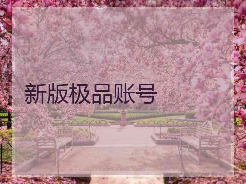 新版极品账号