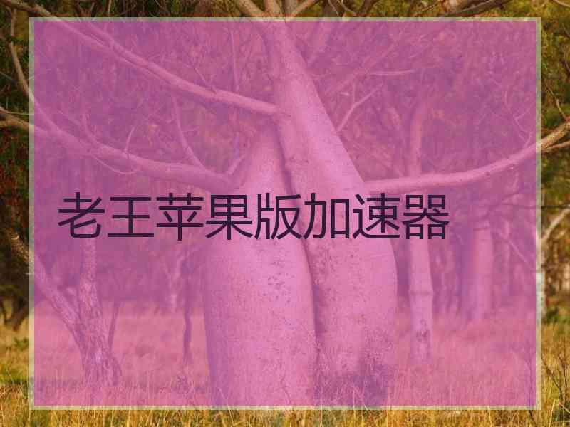 老王苹果版加速器