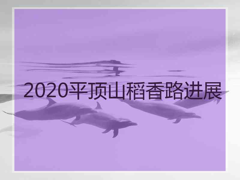 2020平顶山稻香路进展