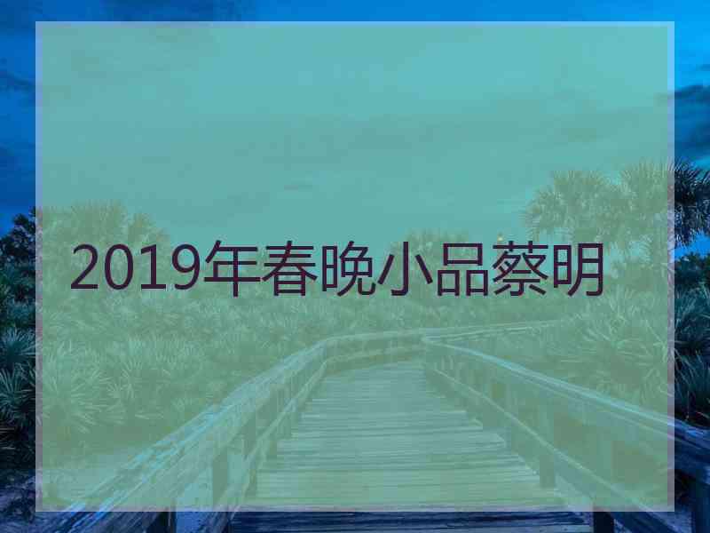 2019年春晚小品蔡明