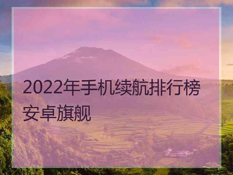 2022年手机续航排行榜安卓旗舰