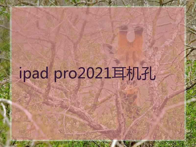 ipad pro2021耳机孔
