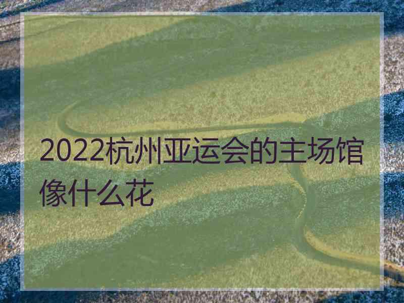 2022杭州亚运会的主场馆像什么花