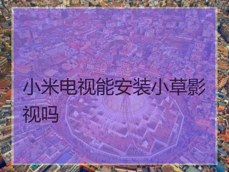小米电视能安装小草影视吗