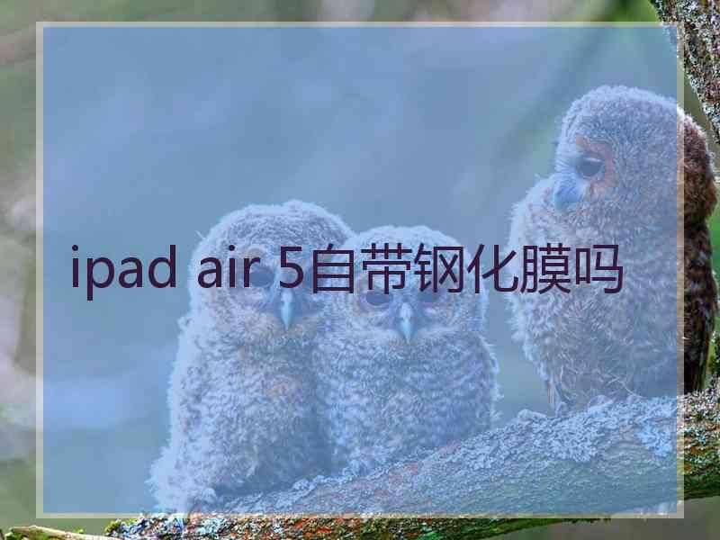 ipad air 5自带钢化膜吗