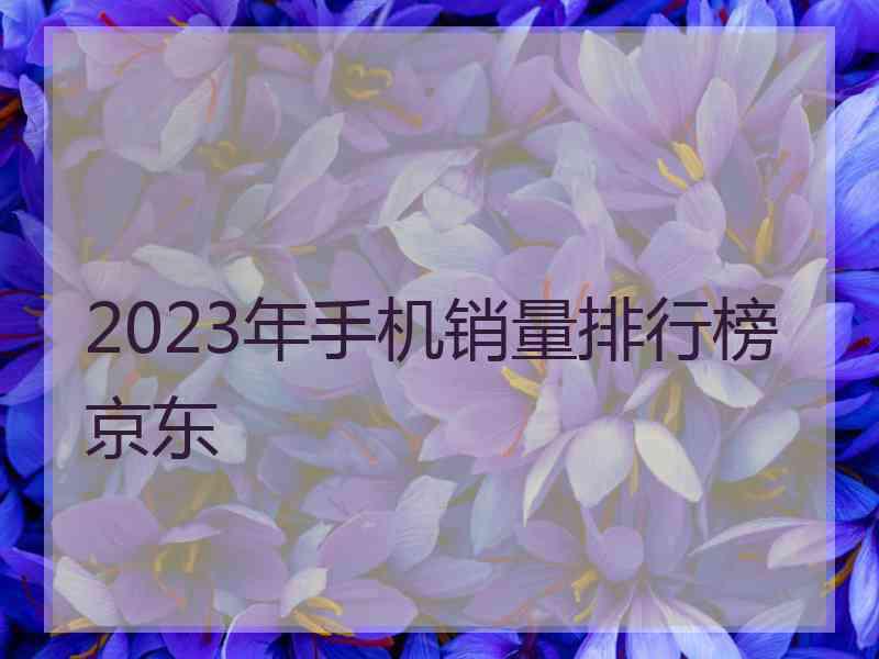 2023年手机销量排行榜京东