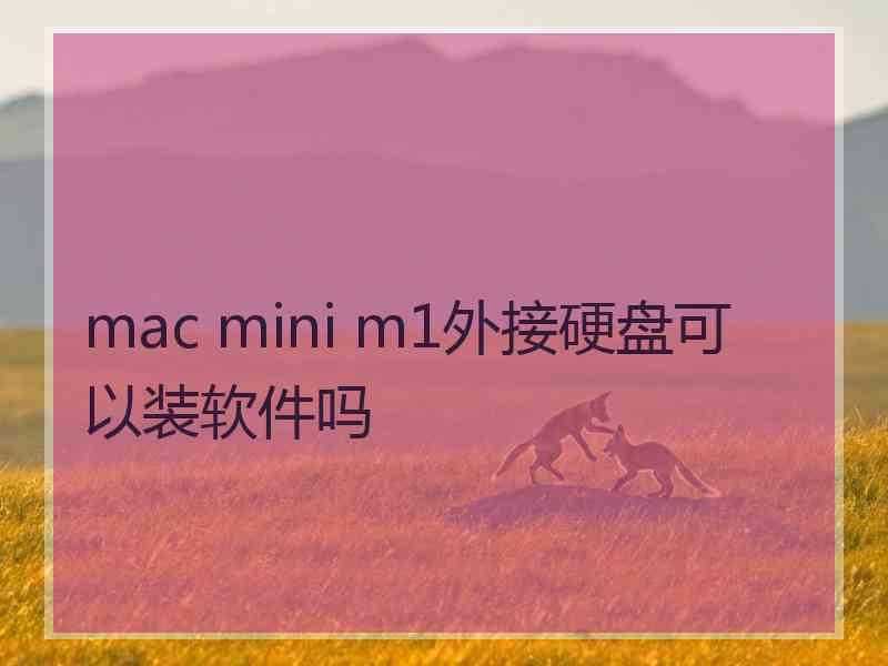 mac mini m1外接硬盘可以装软件吗