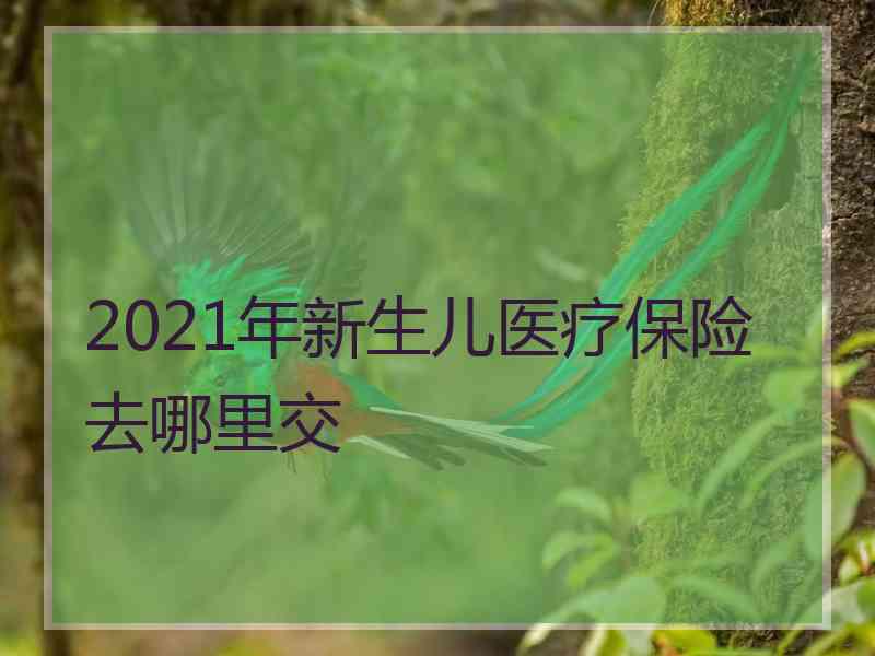 2021年新生儿医疗保险去哪里交