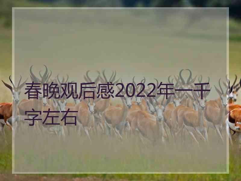 春晚观后感2022年一千字左右