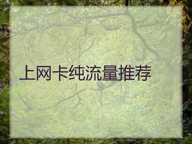 上网卡纯流量推荐