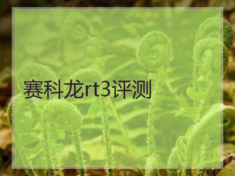 赛科龙rt3评测