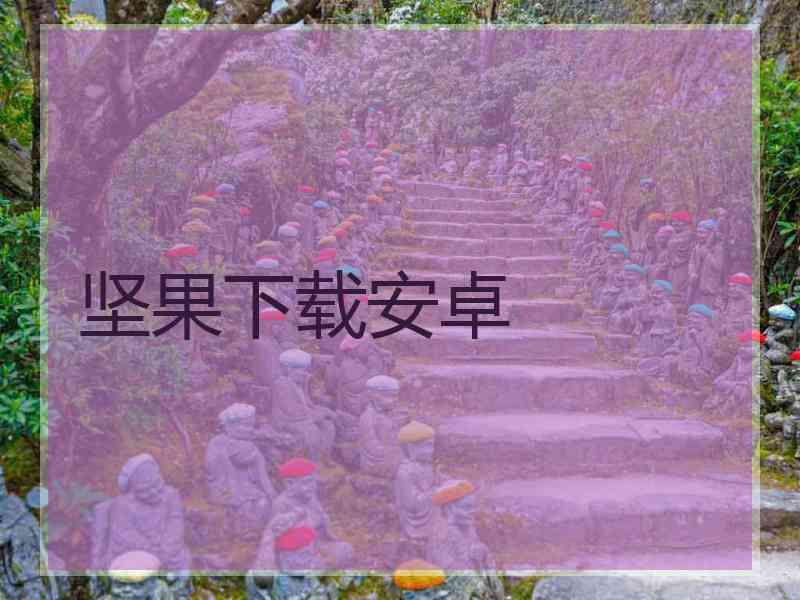 坚果下载安卓