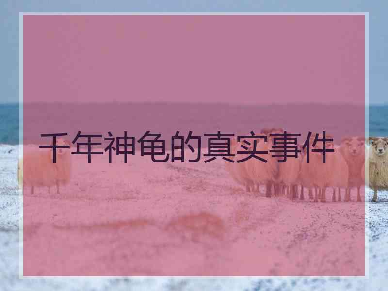 千年神龟的真实事件