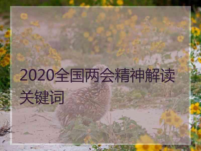 2020全国两会精神解读关键词