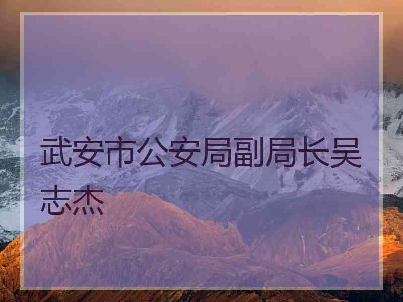 武安市公安局副局长吴志杰