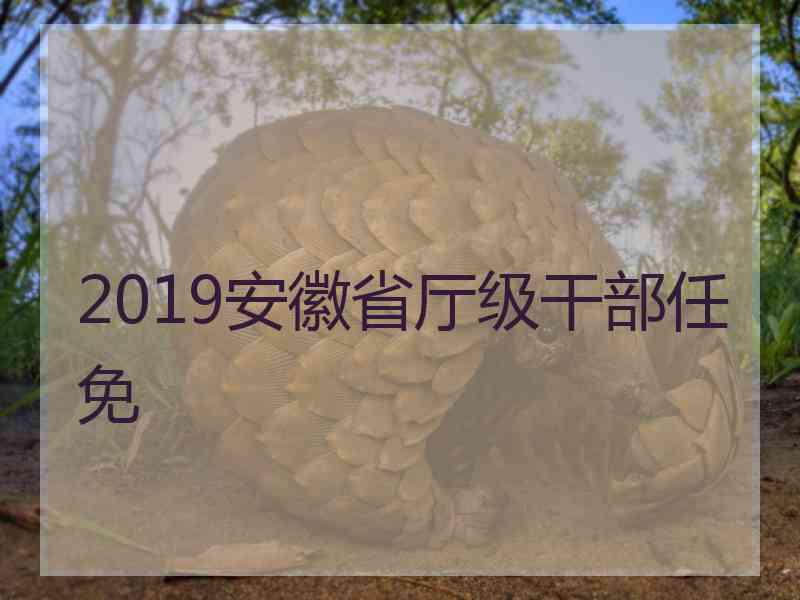 2019安徽省厅级干部任免