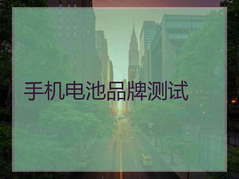 手机电池品牌测试